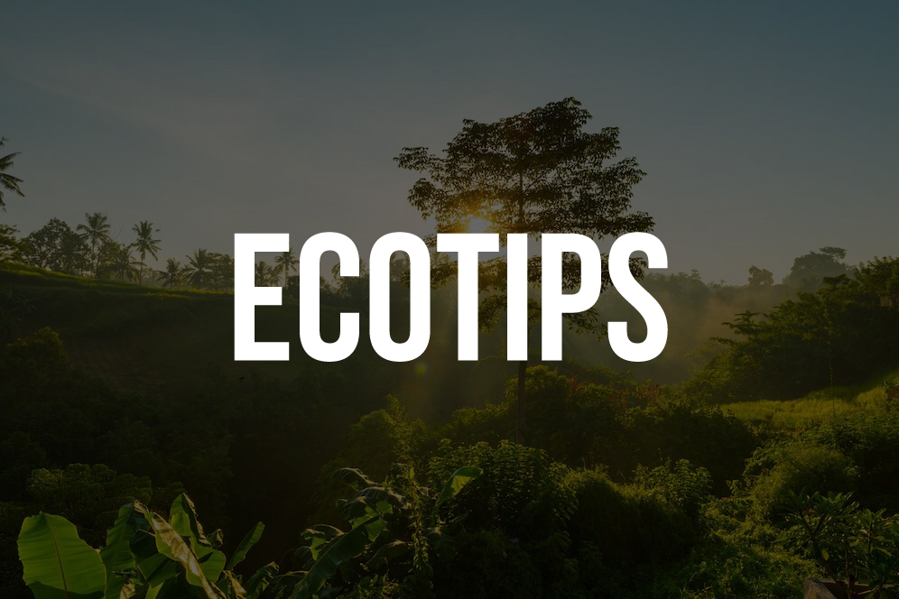 Ecotip N° 1
